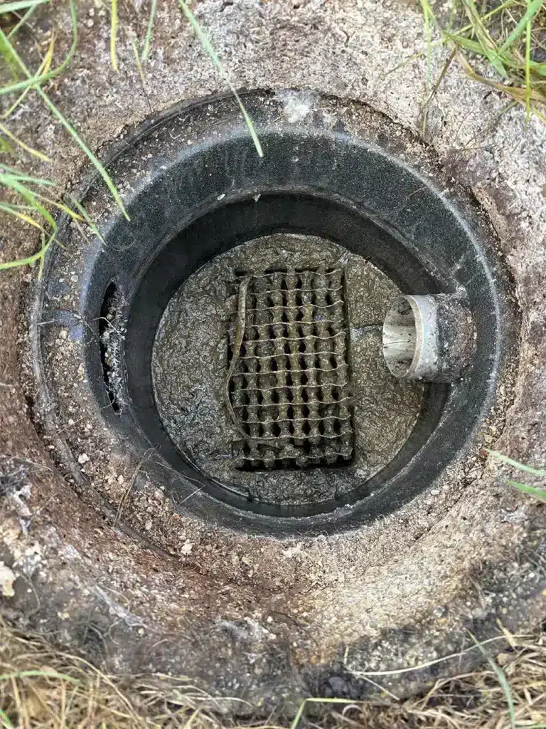 Regard de fosse septique obstrué par de la boue épaisse avec préfiltre encrassé.